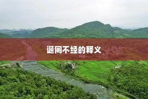 诞罔不经的释义