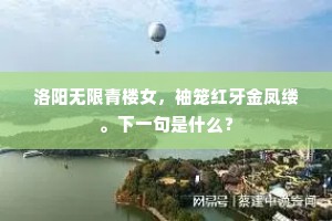 洛阳无限青楼女，袖笼红牙金凤缕。下一句是什么？