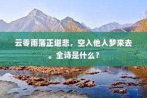 云零雨落正堪悲，空入他人梦来去。全诗是什么？