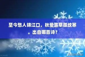 至今愁人锦江口，秋蛩露草孤坟寒。出自哪首诗？