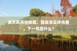 满天风月独倚阑，醉岸浓云呼佚墨。下一句是什么？