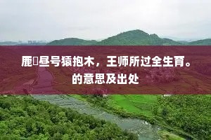 鹿麛昼号猿抱木，王师所过全生育。的意思及出处