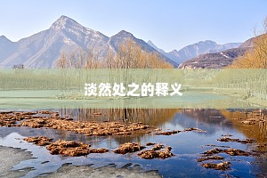 淡然处之的释义