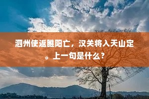 泗州使返睢阳亡，汉关将入天山定。上一句是什么？