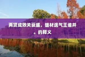 两贤成败关衰盛，雄材逸气王谁并。的释义