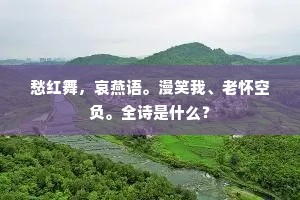 愁红舞，哀燕语。漫笑我、老怀空负。全诗是什么？