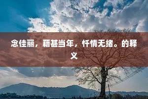 念佳丽，藉甚当年，忏情无绪。的释义