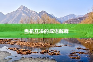 当机立决的成语解释