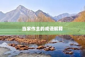 当家作主的成语解释