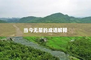 当今无辈的成语解释