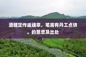 酒醒定作返魂章，笔底有丹工点铁。的意思及出处