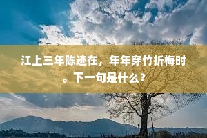 江上三年陈迹在，年年穿竹折梅时。下一句是什么？