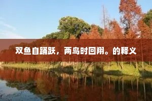 双鱼自踊跃，两鸟时回翔。的释义