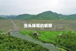 当头棒喝的解释