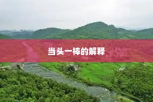 当头一棒的解释