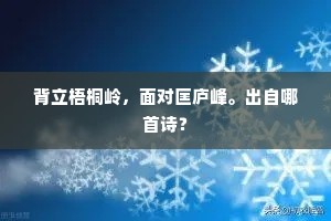 背立梧桐岭，面对匡庐峰。出自哪首诗？