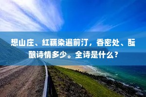 想山庄、红藕染遍前汀，香密处、酝酿诗情多少。全诗是什么？