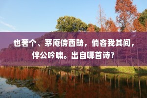 也著个、茅庵傍西畴，倘容我其间，伴公吟啸。出自哪首诗？