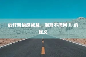 危辞苦语感我耳，泪落不掩何漼漼.的释义