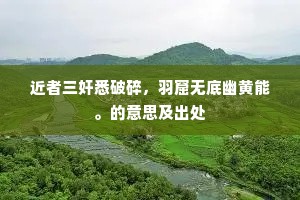 近者三奸悉破碎，羽窟无底幽黄能。的意思及出处