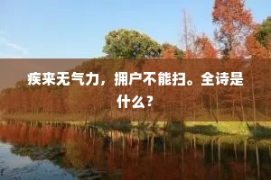 疾来无气力，拥户不能扫。全诗是什么？
