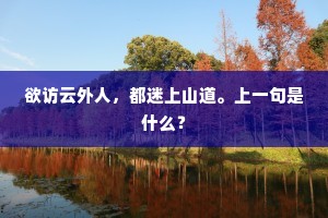 欲访云外人，都迷上山道。上一句是什么？