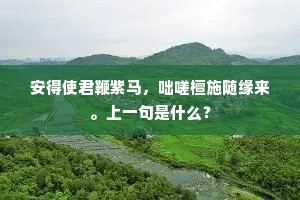 安得使君鞭紫马，咄嗟檀施随缘来。上一句是什么？