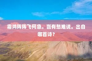 霜鸿阵阵飞何急。岂有愁难说。出自哪首诗？