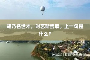 胡乃名世才，时艺斯焉取。上一句是什么？