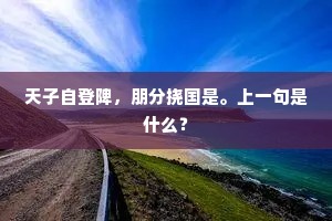 天子自登陴，朋分挠国是。上一句是什么？
