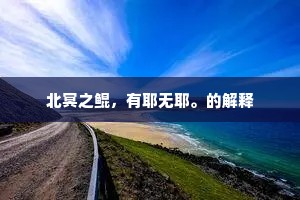 北冥之鲲，有耶无耶。的解释