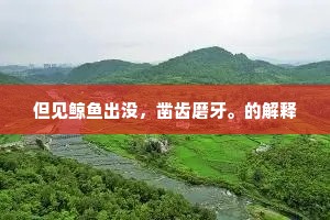 但见鲸鱼出没，凿齿磨牙。的解释