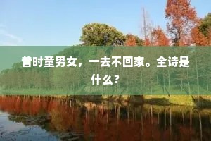 昔时童男女，一去不回家。全诗是什么？