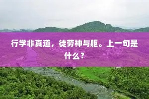 行学非真道，徒劳神与躯。上一句是什么？