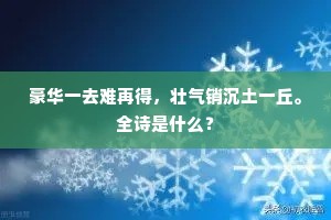 豪华一去难再得，壮气销沉土一丘。全诗是什么？