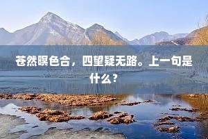 苍然暝色合，四望疑无路。上一句是什么？