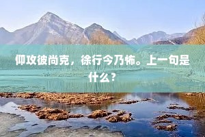 仰攻彼尚克，徐行今乃怖。上一句是什么？