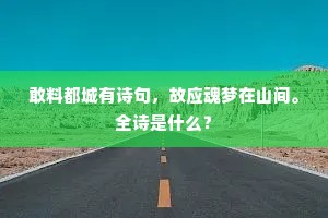 敢料都城有诗句，故应魂梦在山间。全诗是什么？