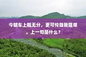 今朝车上瓶无分，更可怜哉我阻艰。上一句是什么？