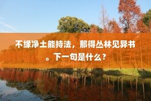 不缘净土能持法，那得丛林见异书。下一句是什么？