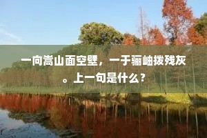 一向嵩山面空壁，一于骊岫拨残灰。上一句是什么？