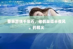 垂藤路绕千年石，老鹤巢倾半夜风。的释义