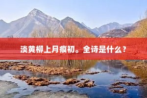 淡黄柳上月痕初。全诗是什么？