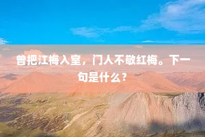 曾把江梅入室，门人不敬红梅。下一句是什么？