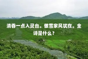 清香一点入灵台。傲雪家风犹在。全诗是什么？