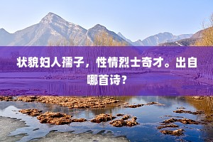 状貌妇人孺子，性情烈士奇才。出自哪首诗？