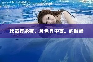 秋声方永夜，月色自中宵。的解释