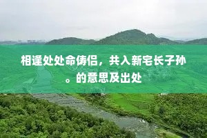相逢处处命俦侣，共入新宅长子孙。的意思及出处