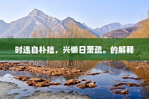 时违自朴拙，兴懒日萧疏。的解释