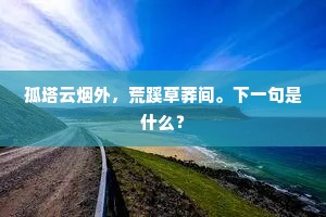 孤塔云烟外，荒蹊草莽间。下一句是什么？